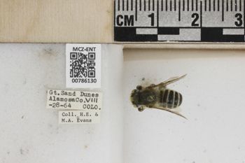 Media type: image;   Entomology 786130 Aspect: Labels